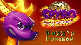 Spyro Reignited Trilogy OST Spyro 3  Buzzs Dungeon Dynamic [upl. by Kristy]