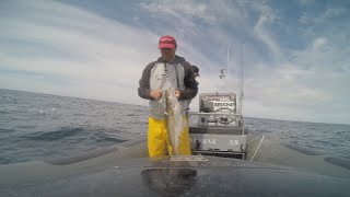 Fishing Video Clip  essai du Dragonfly 7 pro Raymarine en action de pêche [upl. by Hinkle]