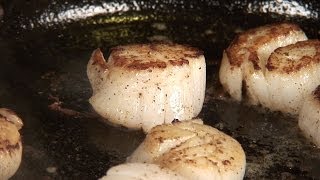 How to Cook Scallops [upl. by Wilona]