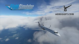 MSFS Aerosoft CRJ Tutorial Ep8 Approaching Munich [upl. by Binnings818]