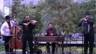 The Band Harmonia at Cleveland Art Museum opening [upl. by Iney438]