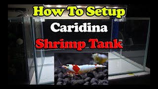 Caridina Shrimp Tank Part 1  SL Aqua Method [upl. by Ilaw300]