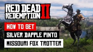 Fed up of trying to get the Missouri Fox Trotter  This EASY METHOD actually WORKS  RDR2 [upl. by Jovitah]