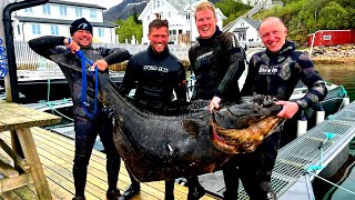 Spearfishing and Fishing giant Halibut in North Norway  In Details [upl. by Hackathorn]