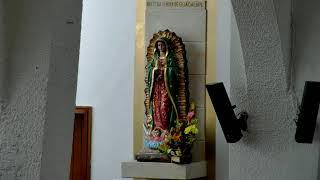 Martes 17 de Septiembre 2024 6to de la novena 1000 am [upl. by Awra]