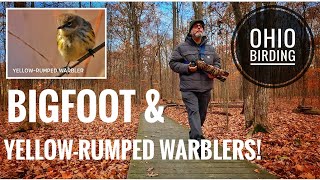 Bigfoot Sightings and Yellowrumped Warblers [upl. by Jasper]