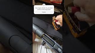 Seeing how many 134 inch shells fit the mossberg 940 gun mossberg jmpro shotgun shells fail [upl. by Harberd]