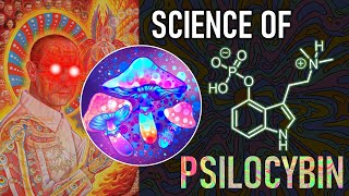 Psilocybin Synthesis in 4 Steps amp How Magic Mushrooms Rewire Brain Networks Psychedelic Science [upl. by Ardys]