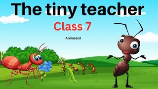 The tiny teacher class 7  an alien hand book  full chapter explanation in Hindi with animation [upl. by Saticilef]