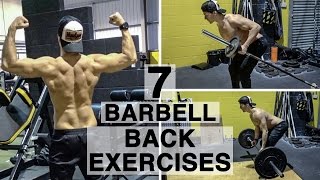 7 Barbell Back Exercises [upl. by Norab42]