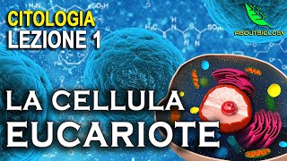 La CELLULA EUCARIOTE Citologia Lezione 1 [upl. by Afatsuom853]