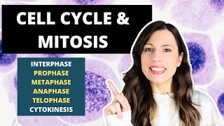 Cell Cycle amp MITOSIS Alevel Biology Prophase Metaphase Anaphase and Telophase [upl. by Annai840]