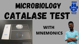 Catalase TestWith Mnemonics [upl. by Tserrof]