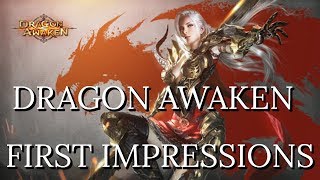 Dragon Awaken First Impressions  3D Turn Based Browser RPG [upl. by Howzell]