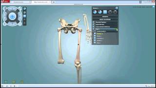 Anatronica 3D Interactive Anatomy  wwwanatronicacom [upl. by Alemaj]