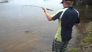 Gold Coast Canal Fishing [upl. by Sylado480]