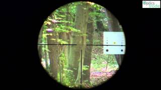 Burris Four X 312x56 Reticle 4LP  Optics Trade Reticle Subtensions [upl. by Enylecoj]