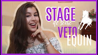 VETO EQUIN  MON EXPERIENCE DE STAGE EN 3EME [upl. by Airotnahs]