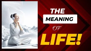 The MEANING of Life [upl. by Ardnad]