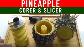 Easy PINEAPPLE Peeler Slicer amp Corer  Kitchen Gadgets  How to [upl. by Rose]