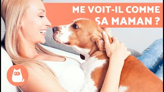 Mon CHIEN me CONSIDÈRE COMME sa MÈRE  🐶👩🏻 [upl. by Siraval771]