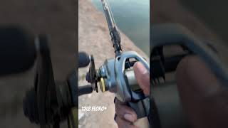 Shimano Curado DC Arizona Canal Fishing For HUGE Bass fishing bassfishing curadodc shimano [upl. by Acinorej774]