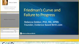 Interview with Rebecca Dekker  GOLD Perinatal Care Online Conference 2013 [upl. by Nayb575]