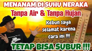 MENANAM TANPA AIR Tetap Hijau dan Segar ini Caranya 👉 [upl. by Elak]