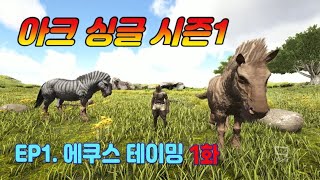 시즌1EP01아크싱글 01화  에쿠스 테이밍  싱글 초보공략 라그나로크 ARK Survival Evolved [upl. by Alyad]