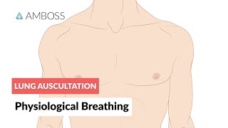 Physiological breathing  Lung Auscultation  Episode 1 [upl. by Jelene]