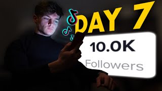 I Tried Growing A TikTok Theme Page From 0  10K Followers In 7 days [upl. by Anastassia705]