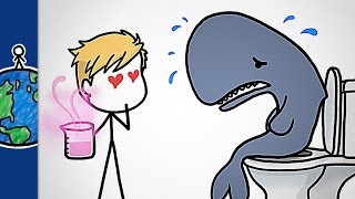 Ambergris Why Perfume Makers Love Constipated Whales [upl. by Rammus]