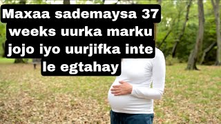 37 weeks uurka marku jojo maxaad daremaysa iyo ilmaha urjifka ah inte Le egyihiin [upl. by Enilaf983]