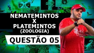 NEMATEMINTOS X PLATEMINTOS – QUESTÃO 05 – LISTA 23 ZOOLOGIA [upl. by Addis572]