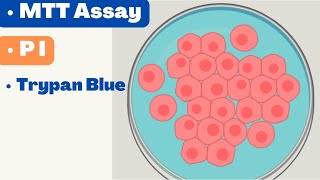 🛑 CELL VIABILITY ASSAYS  MTT Assay  Alamar Blue  Propidium Iodide  Cell TIter Glo [upl. by Johnny]