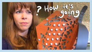 Review Gear4Music Concertina two months on [upl. by Norrahs347]