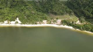 Oportunidade de Negócio Fazenda à Venda fazenda fyp farm terra gado Nelore pecuariabrasil [upl. by Huntley]