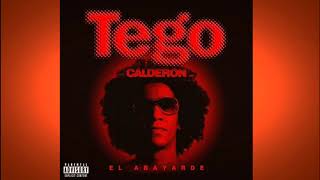 Tego Calderon MIX 🔥 tegocalderon [upl. by Anileuqcaj]