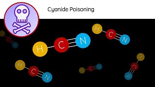 Cyanide Poisoning  HCN a deadly poison  Biology revision video  GCSE A Level University [upl. by Colman623]