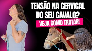 TENSÃO NA CERVICAL DO SEU CAVALO VEJA COMO TRATAR [upl. by Daffie]