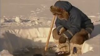 Arctic Fishing  Ray Mears World of Survival  BBC Studios [upl. by Obmar580]