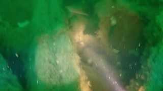 Mv Actuosity 07 07 2013 Great Yarmouth BSAC wreck dive Sea Palling [upl. by Neeham]