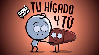 Tu hígado y tú  Casi Creativo [upl. by Hanforrd]