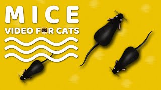 CAT GAMES  Mice Mouse Sounds Video for Cats  CAT amp DOG TV [upl. by Laurentium]