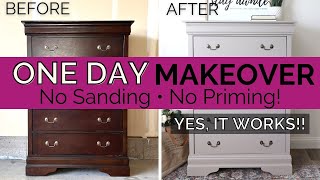 Painting Furniture Without Sanding or Priming 🤩  All in One Paint  One Day Makeover [upl. by Giuseppe245]