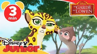 Das Baby Pavian Lied  Die Garde der Löwen  Disney Junior Kurzgeschichten [upl. by Ymaj]