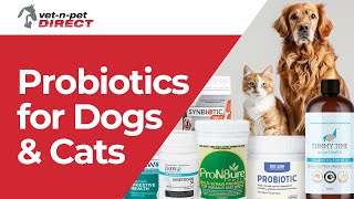 Probiotics for Dogs and Cats [upl. by Anomis210]