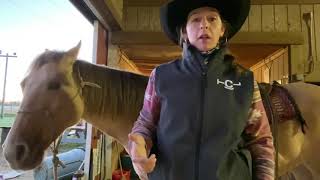 Tips on Cinching a Horse [upl. by Hut]