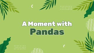 A Moment with Pandas [upl. by Coco760]