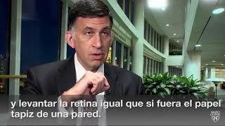 El minuto de Mayo Clinic ¿Qué son las moscas volantes en los ojos [upl. by Ileray806]